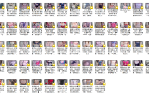 [自整理合集][macoto/まこと][中文翻译][47.3G/度盘]