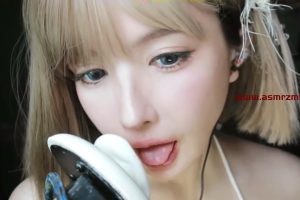 助眠舔耳-中文剧情ASMR-大艺术嘉 小合集 3v